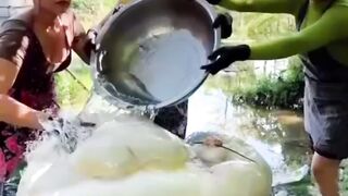 for a bite of food