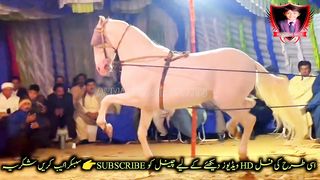 #foryou #Foryoupage #trending #horselover #horse #500k ##foryou #Foryoupage #trending #horselover #horse #500k #fyp #1M #impres.6 #1M #impres.6