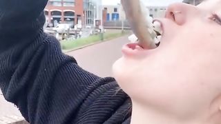 SEAGULL THIEF.