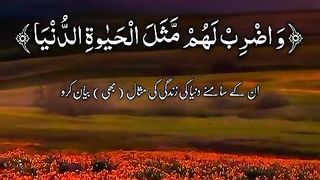 Quran 254