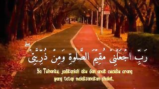Quran recitation 29