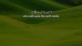 Quran 256