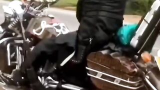 IDIOT. ROAD KILLER.