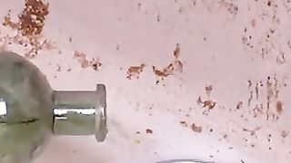 Useful_Salt_