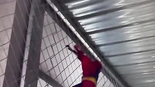 The monkey turned into Superman and got his face cloak stuck in it. hahahaha
