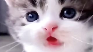 Funny actions 185