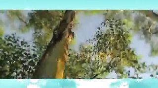 Name of Allah 99 Asmahulhusna
