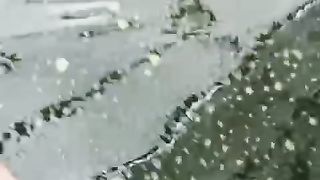 Jika air kolam Hijau butek gelap keruh dan bau, segera GANTI