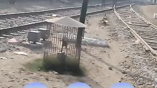 The railway line