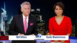 Person in custody for stabbing spree in NYC