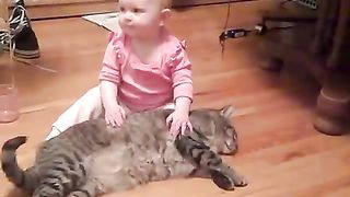 The most patient and docile cat ever! 2