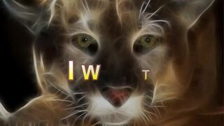 Cat Turns Treat Monster