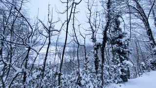 "Winter Wonderland: Captivating Beauty of Nature Blanketed in Snow"