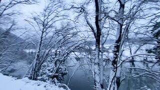"Snowy Serenity: Exploring the Tranquil Beauty of Winter Nature"