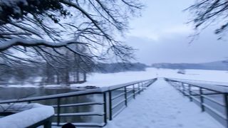 "Whispers of Winter: A Journey Through Nature's Snowy Tapestry"
