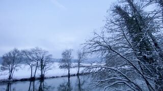 "Winter's Poetry: Nature's Silent Symphony in the Snow"