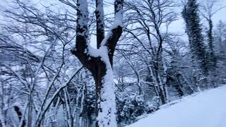 "Snow-Kissed Harmony: Nature's Silent Ballet in Winter"