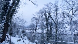 "Cradled by Snow: Unveiling Nature's Frosty Masterpiece"