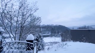 "Snowbound Serenity: Nature's Silent Elegance in Winter's Embrace"