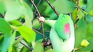 Nice video 181