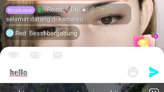 The beauty streamer