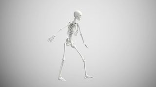 The Enchanting Dance of the Skeleton"