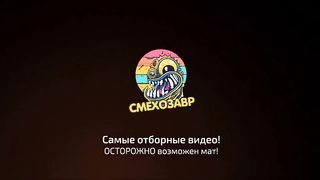 ЛУЧШИЕ ПРИКОЛЫ 2024 _ЗАСМЕЯЛСЯ-ПОДПИСАЛСЯ _ ДО СЛЁЗ - ПРИКОЛЫ 2024