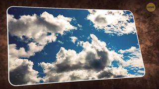 Как копирование природы помогает инженерам