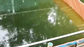 Berapa hari sekali GANTI AIR kolam dan berapa persen pergantiannya❓