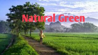 NATURAL GREEN