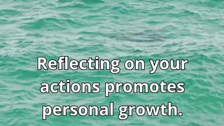 Self-reflection
