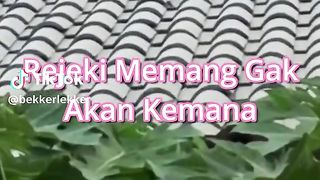 It's called luck. If it falls, it's sure to hit the target...