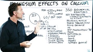 Magnesium Protects Against the Bad Effects of Calcium