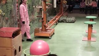 滅多に見られないキャットショー「ザ・キャッツ」を観に那須どうぶつ王国へ行ってきました！ 2017 年 2 月 4 日