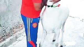 trending_6707161350483988559