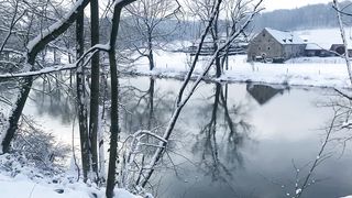 "Winter's Whisper: Nature's Serenity Blanketed in Snow"
