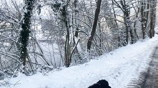 "Frozen Elegance: Nature's Blanket of Snow Unveiled"