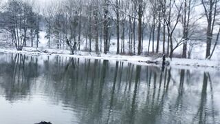 "Whispers of Frost: Nature's Spellbinding Dance Under the Snow"