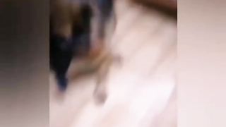 Ваха