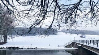 "Cradled in Snow: Exploring Nature's Winter Wonderland"