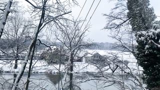 "Frost-kissed Reverie: A Journey Through Nature's Winter Symphony"