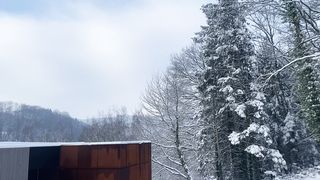"Winter's Lullaby: Nature's Silent Beauty Under the Snowfall"