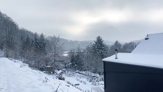 "Snowbound Harmony: Nature's Ballet in the Winter Wilderness"