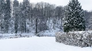 "Crisp Canvas: Nature's Silent Overture in the Winter Wilderness"