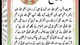 اسلامی معلومات Like share follow 537
