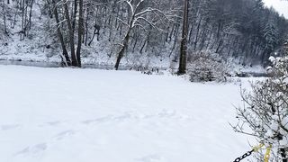 "Spectral Snowfall: Nature's Ephemeral Ballet in Winter's Silence"