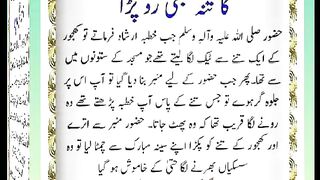 اسلامی معلومات Like share follow 549