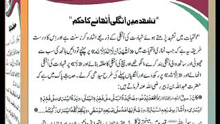 اسلامی معلومات Like share follow 551