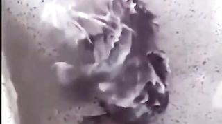 Funny rat video 2023