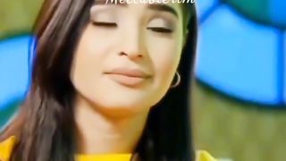 Dilshikasta
